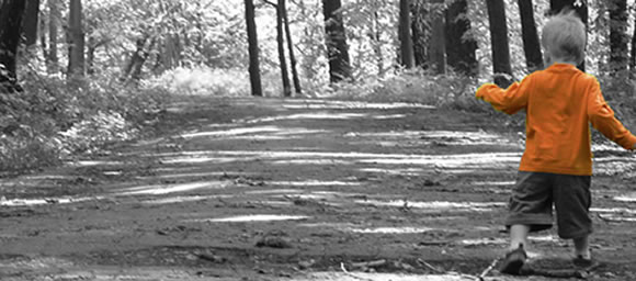 Picture of boy walking in the woods and link to Homepage